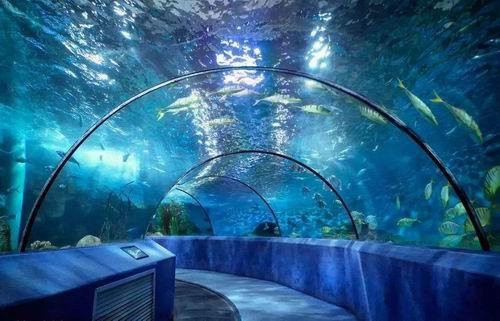 榆次水族店，晉中市榆次區水族店哪家口碑最好 榆次水族店，晉中市榆次區水族店哪家口碑最好 全國水族館企業名錄 第2張