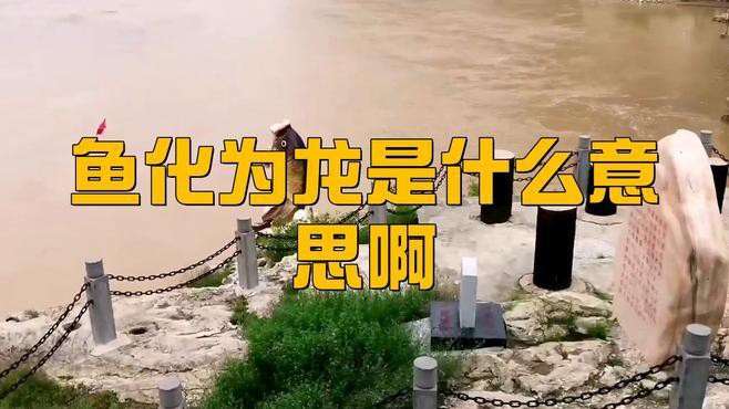 “魚化龍”傳說具體是什么，“魚化龍”是中國傳統(tǒng)文化中極具象征意義的神話傳說與藝術(shù)題材