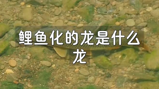 “魚化龍”傳說具體是什么，“魚化龍”是中國傳統(tǒng)文化中極具象征意義的神話傳說與藝術(shù)題材