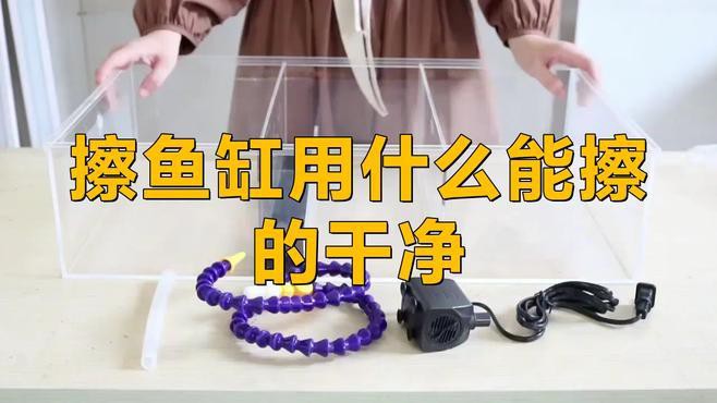 如何安全地清理龍魚缸？，摩羯寵醫(yī)楊,清洗魚缸別發(fā)愁,學(xué)會(huì)6招輕松清潔!