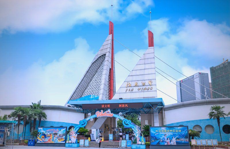 長沙水族店，長沙擁有多家特色鮮明的水族店主要集中在雨花區的紅星花卉市場及周邊區域