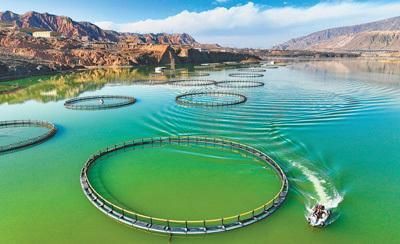 黃南藏族自治州魚缸批發(fā)市場，黃南藏族自治州的魚缸批發(fā)市場