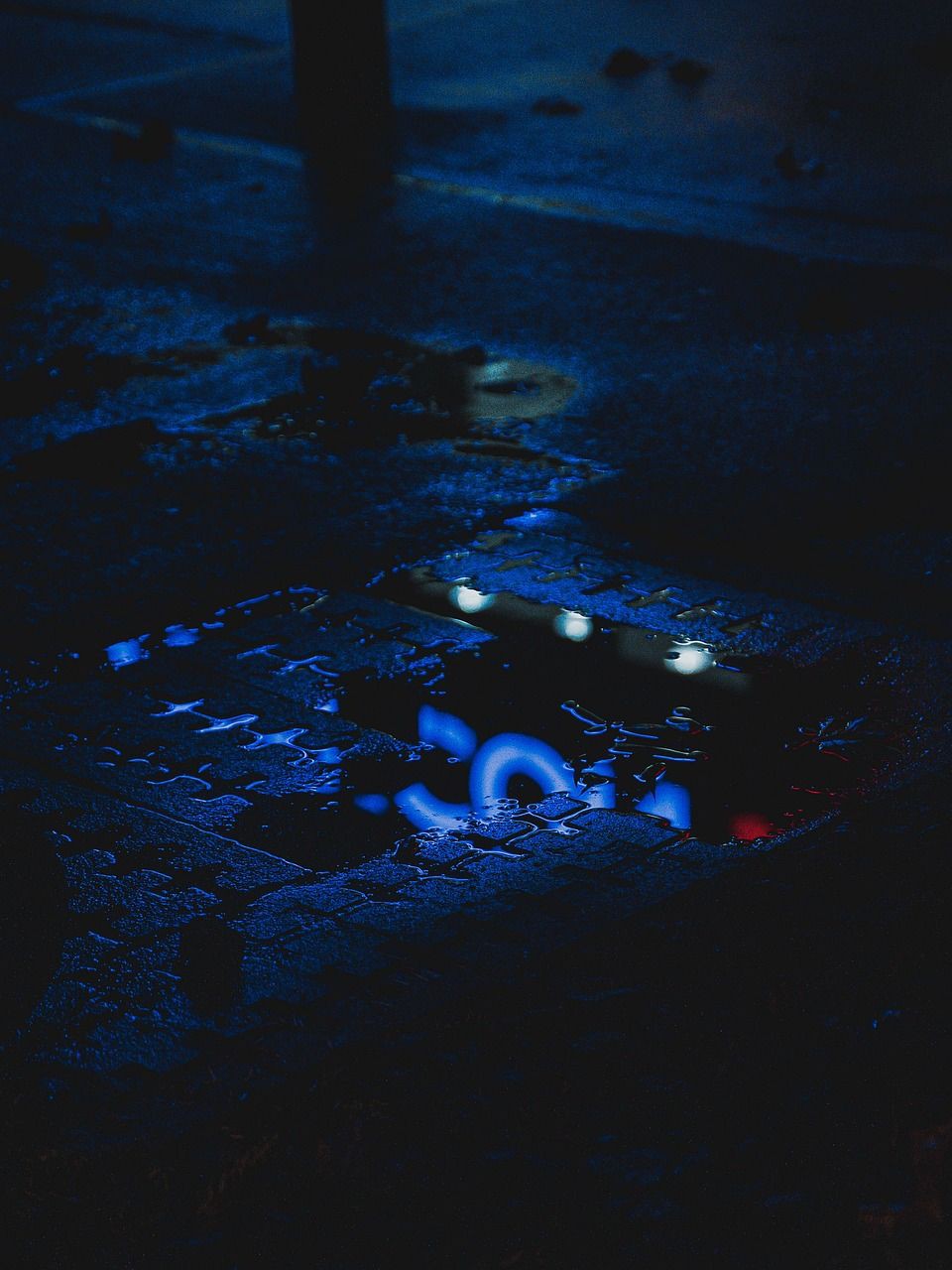 曲靖龍魚店，富源縣宇光鱒龍魚餐館玻璃缸里游弋的羅平龍魚故事