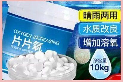 鯉魚快死啦咋救活啊，錦鯉交叉感染急救指南奄奄一息的魚怎么救活救活病魚