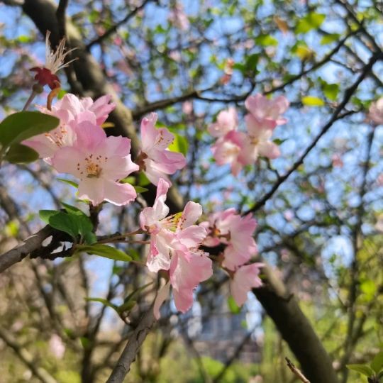 撫州龍魚店，撫州龍魚店加盟星開(kāi)個(gè)龍魚店需要多少錢創(chuàng)業(yè)機(jī)遇等你來(lái)抓