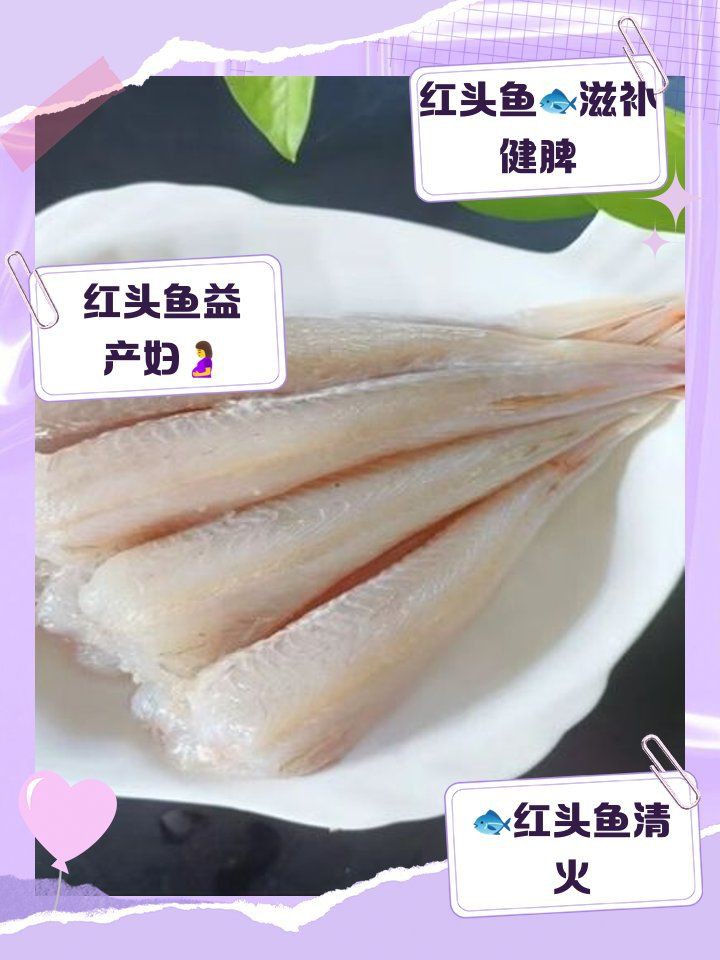紅頭魚的功效與作用，紅頭魚的功效與作用有哪些