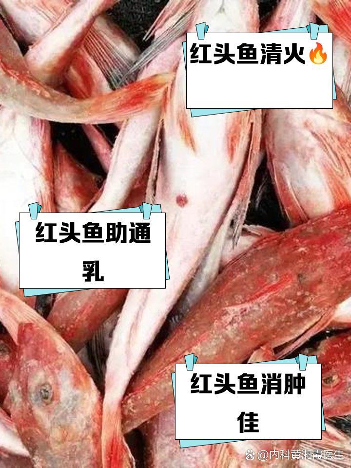 紅頭魚的功效與作用，紅頭魚的功效與作用有哪些