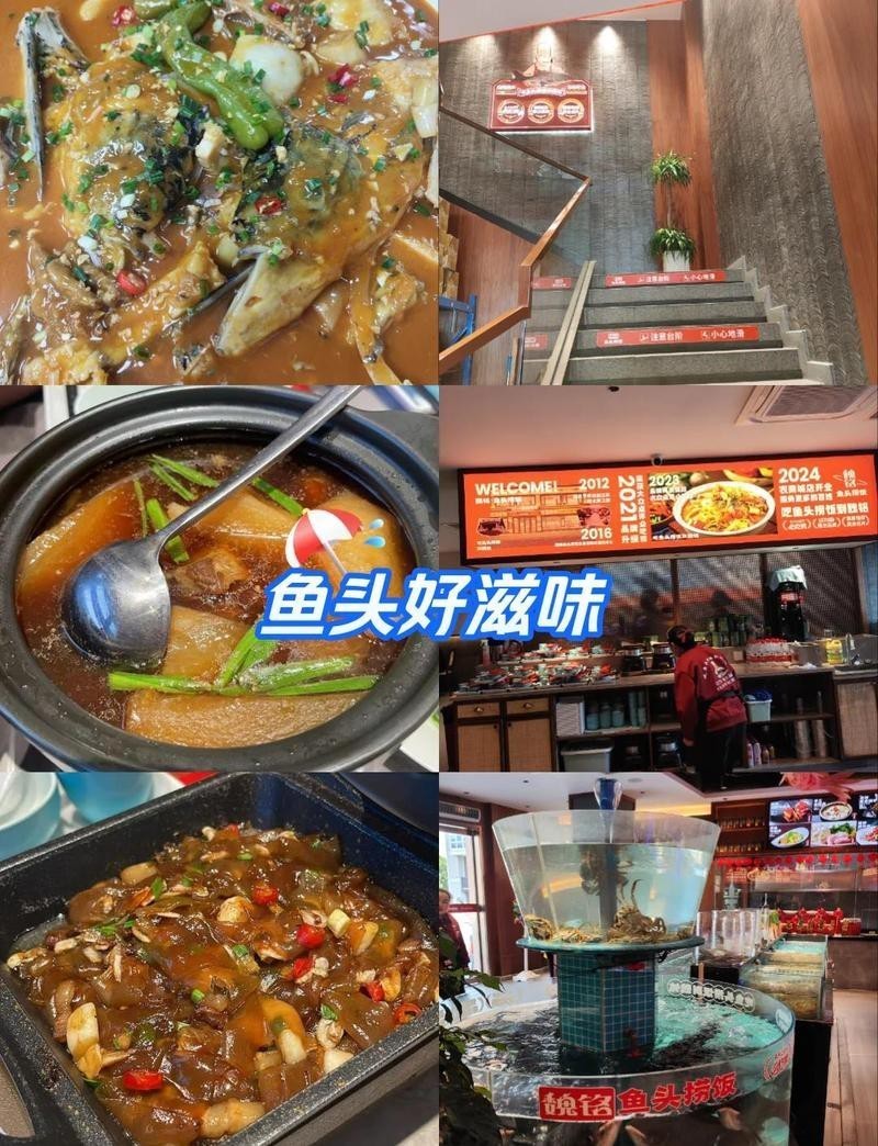 嘉善龍魚店，晉陽東路嘉善店的聯系方式 嘉善龍魚店，晉陽東路嘉善店的聯系方式 全國水族館企業名錄 第1張
