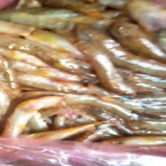 紅尾魚貴還是翹嘴魚貴，紅尾魚與翹嘴魚哪個更有營養價值紅尾魚與翹嘴魚哪個更受歡迎