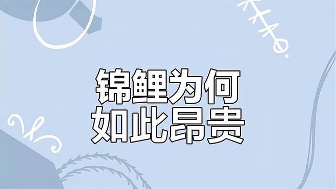 丹頂錦鯉為什么這么貴，丹頂錦鯉價格昂貴，原因多元其外觀獨具魅力，其外觀獨具魅力