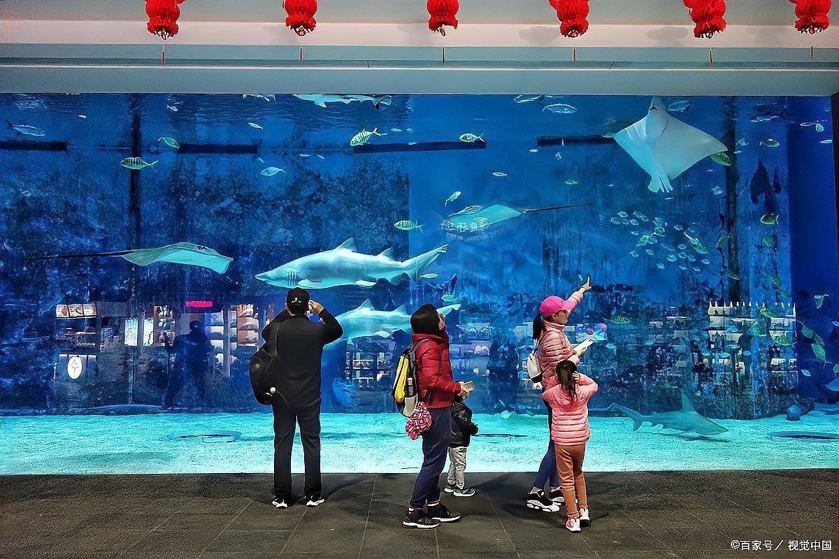 太原水族館，華北地區(qū)首個購物中心內(nèi)的水族館沙沙嘩啦海洋館：水族館