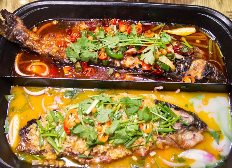 太倉龍魚店，太倉哪里可以買到龍魚