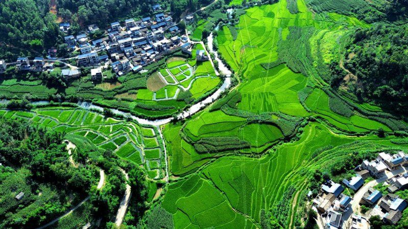 文山壯族苗族自治州魚缸批發市場，文山壯族自治州的魚缸批發市場是當地特色商貿的重要組成部分