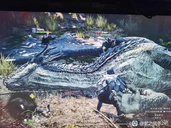 紅龍級別玩家心得分享，《失落城堡》紅龍怎么打紅龍打法心得分享 紅龍級別玩家心得分享，《失落城堡》紅龍怎么打紅龍打法心得分享 龍魚百科 第2張