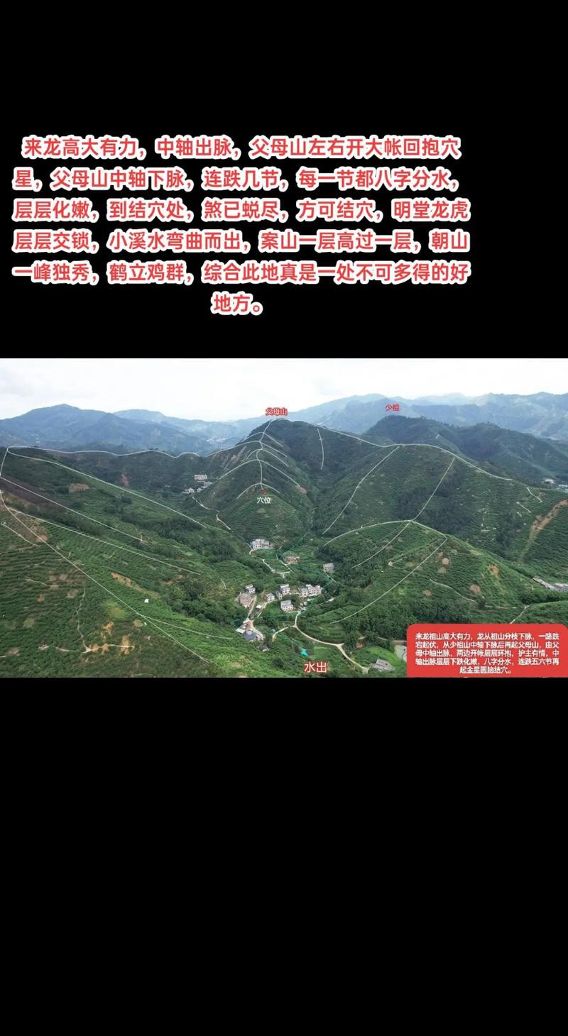 再給我一些風水龍脈圖解的實例,風水龍脈圖解實例 龍魚論壇 第8張 再給我一些風水龍脈圖解的實例,風水龍脈圖解實例 再給我一些風水龍脈圖解的實例,風水龍脈圖解實例 龍魚論壇 第8張