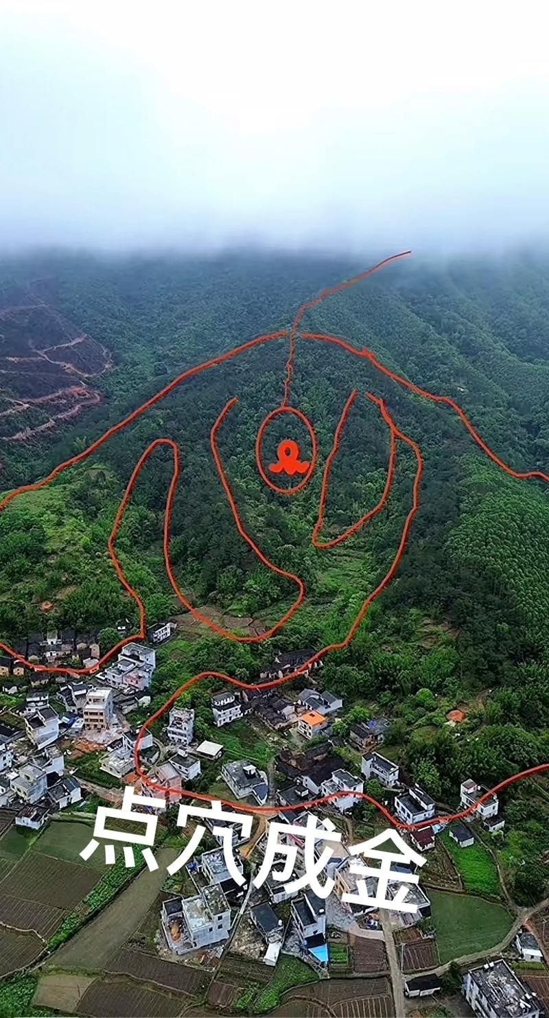 再給我一些風水龍脈圖解的實例,風水龍脈圖解實例 龍魚論壇 第21張 再給我一些風水龍脈圖解的實例,風水龍脈圖解實例 再給我一些風水龍脈圖解的實例,風水龍脈圖解實例 龍魚論壇 第21張