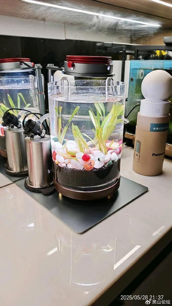 藍天魚缸店，“藍天魚缸店”是一家專注于水族用品專業(yè)店鋪的專業(yè)店鋪