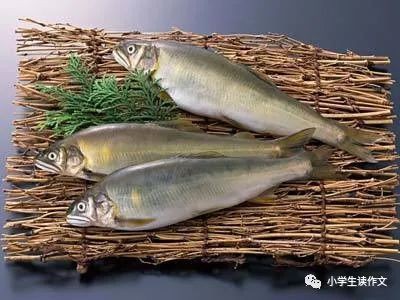 藍天魚缸店，“藍天魚缸店”是一家專注于水族用品專業店鋪的專業店鋪