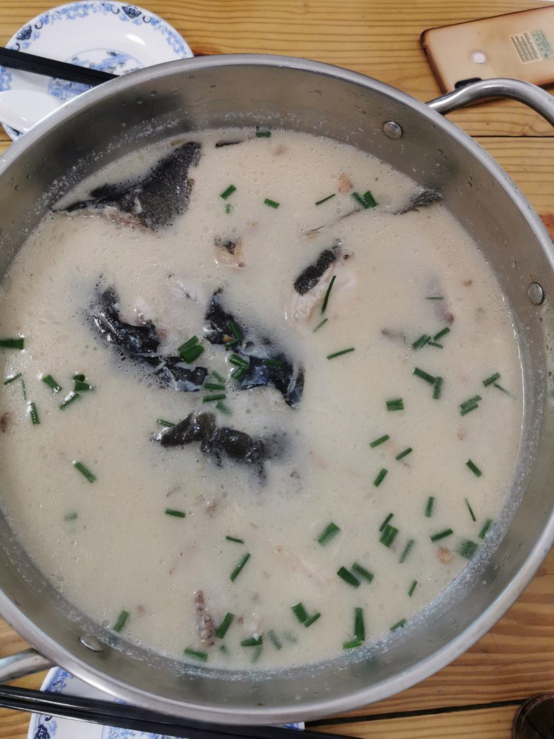 三都龍魚店，三都龍魚店具體位置在哪里三都龍魚養殖需要哪些設備