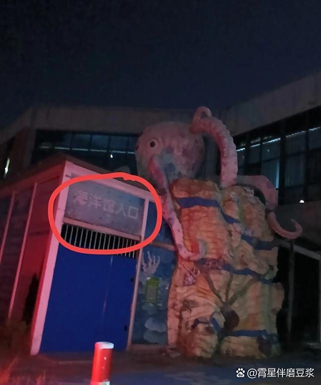 岳陽樓水族店，岳陽樓區水族館