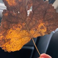 平頂山龍魚店，關于“平頂山龍魚店”的摘要 平頂山龍魚店，關于“平頂山龍魚店”的摘要 全國水族館企業名錄 第6張