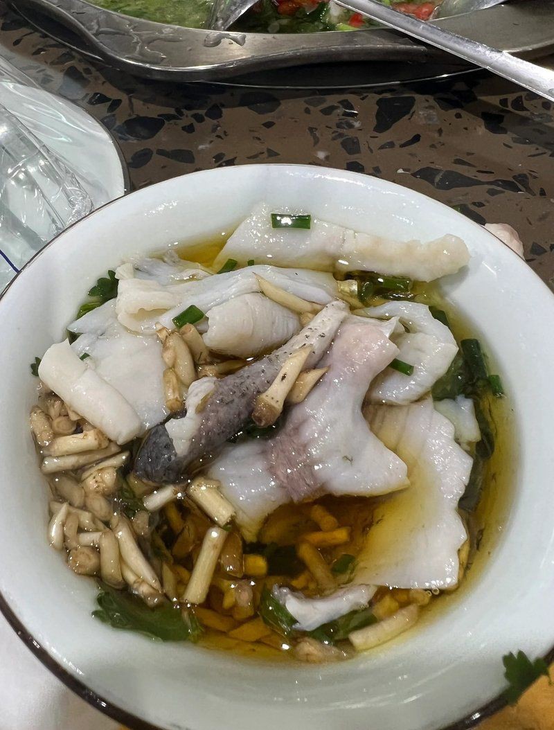 宜賓龍魚店，舌尖上的江湖———宜賓龍魚店 宜賓龍魚店，舌尖上的江湖———宜賓龍魚店 全國水族館企業名錄 第3張