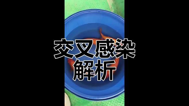 交叉感染后龍魚(yú)有哪些癥狀？，錦鯉交叉感染急救指南:錦鯉交叉感染急救指南