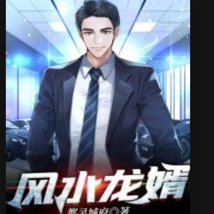 《風(fēng)水龍婿》哪個(gè)版本更受歡迎？，《風(fēng)水龍婿》哪個(gè)版本評(píng)價(jià)最高？