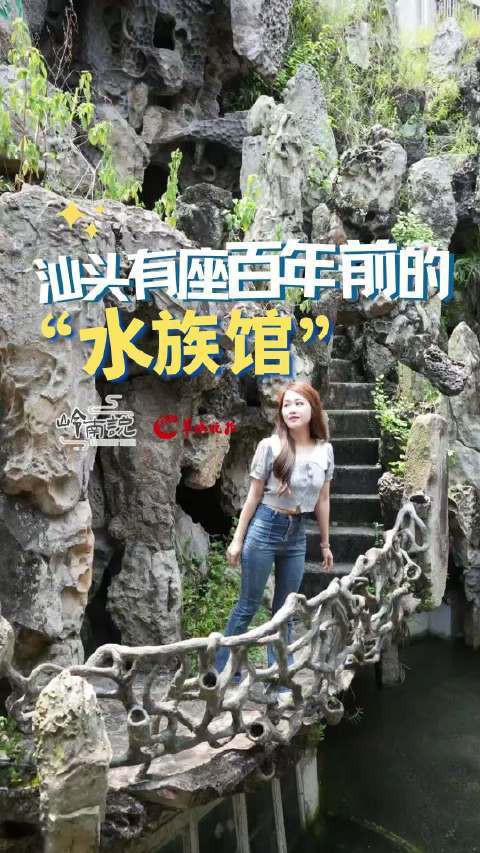 汕頭水族店，汕頭擁有多家特色鮮明的水族店，為當(dāng)?shù)丶爸苓叺貐^(qū)的水族愛好者提供了豐富的選擇