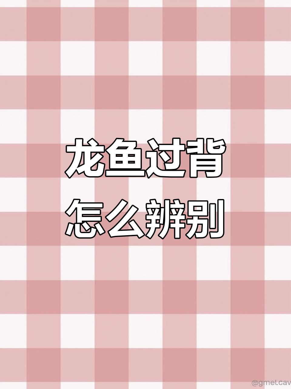 如何判斷古典過背金龍是否褪色？，判斷古典過背金龍是否褪色