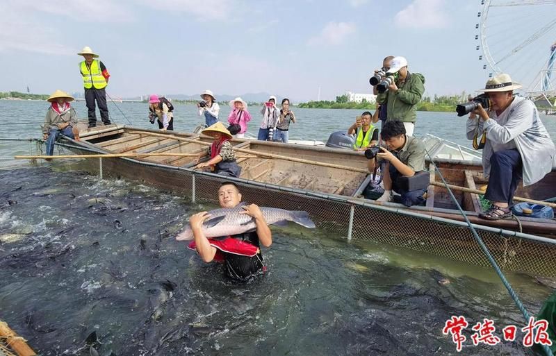 常德魚缸批發市場，常德魚缸批發市場是當地重要的水族用品集散地