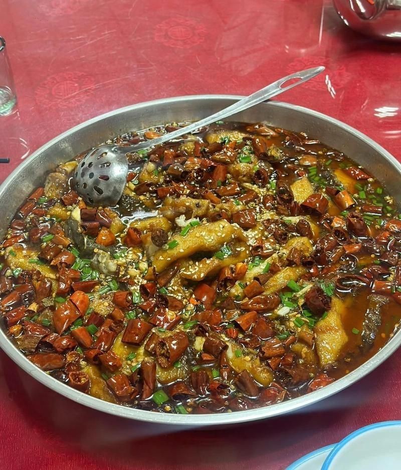 貴港龍魚店，貴港市港北區龍魚建材店