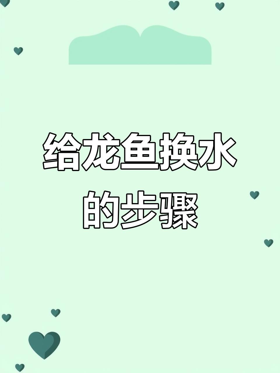 如何給過背金龍魚換水？，《如何給過背金龍魚換水？》