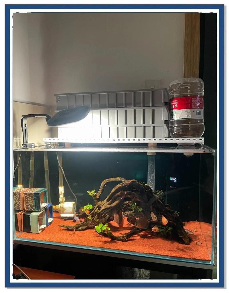 神木魚缸維護(hù)，神木魚缸專業(yè)維護(hù)全攻略