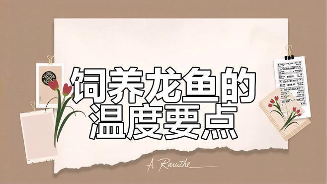 如何保持龍魚缸水溫穩定？，如何保持龍魚缸水溫穩定