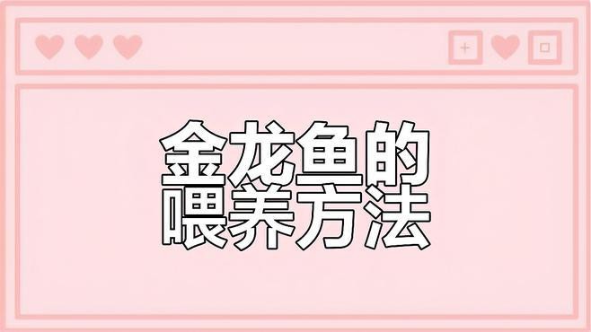 古典金龍的最佳飼養(yǎng)環(huán)境，古典金龍的最佳飼養(yǎng)環(huán)境從ph值到穩(wěn)定性全解析