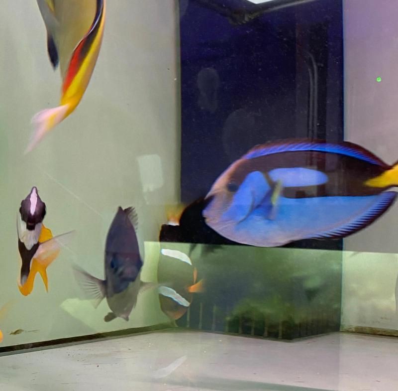 大連魚缸批發市場，大連魚缸批發市場分布