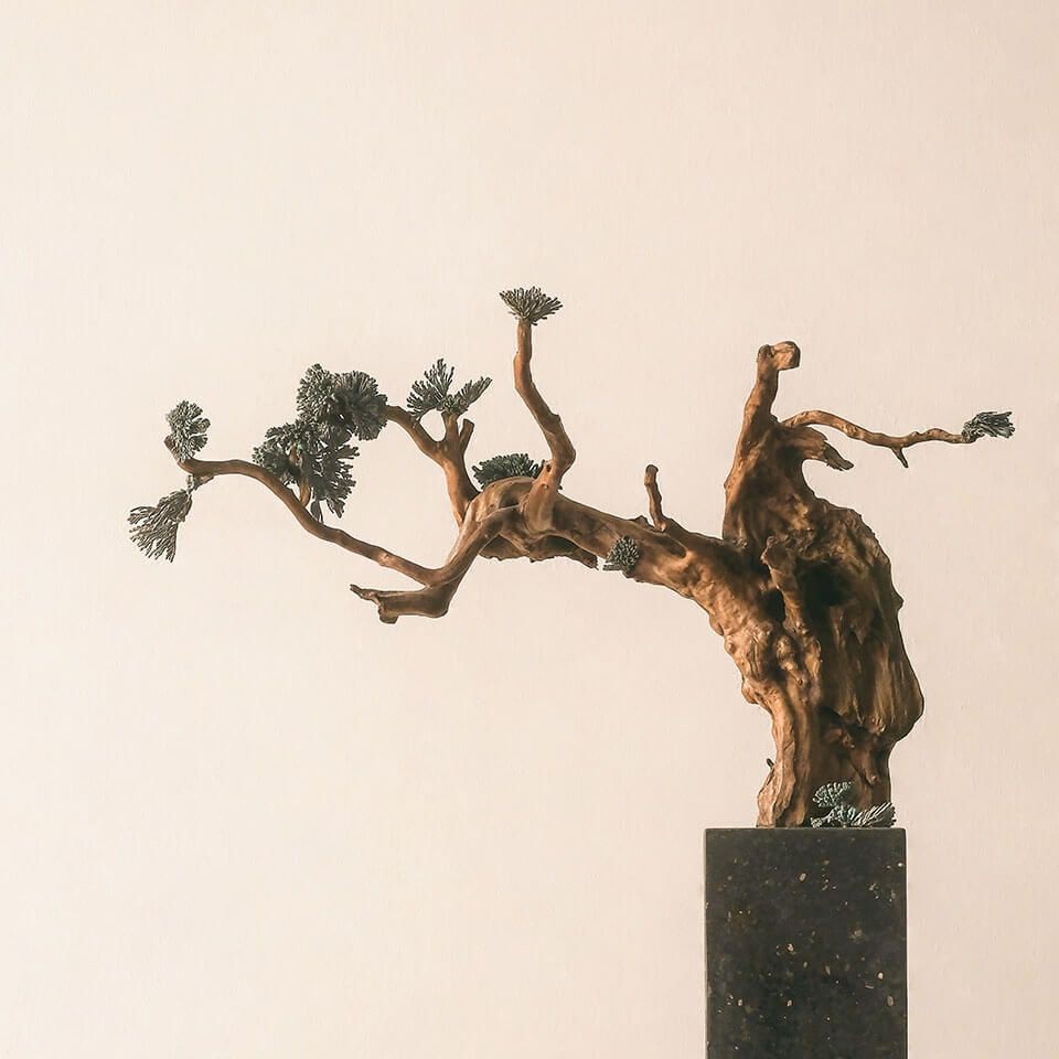 家庭滅鼠最佳方法，《家庭建立科學滅鼠最佳方法》 家庭滅鼠最佳方法，《家庭建立科學滅鼠最佳方法》 全國水族館企業名錄 第8張