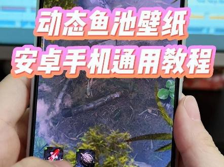 如何設(shè)置金龍魚動態(tài)壁紙為桌面背景？，如何設(shè)置金龍魚動態(tài)壁紙為桌面背景