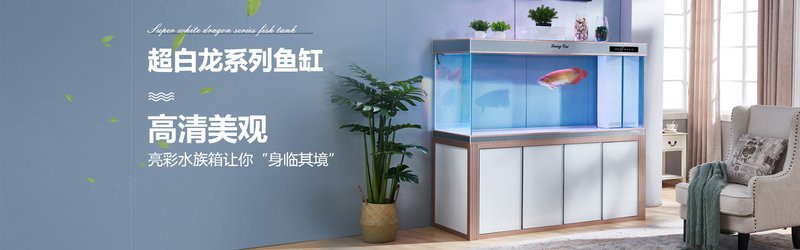 嶺東水族店，嶺東地區的水族店以多元化的經營特色成為當地寵物愛好者的重要聚集地