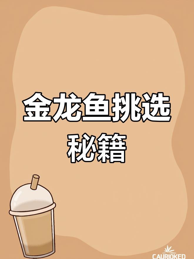 60公分金龍魚如何挑選，60公分金龍魚的價格是多少？