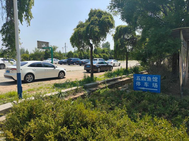 普蘭店龍魚(yú)店，揭陽(yáng)龍魚(yú)專賣店普蘭店龍魚(yú)專賣店地址在哪里