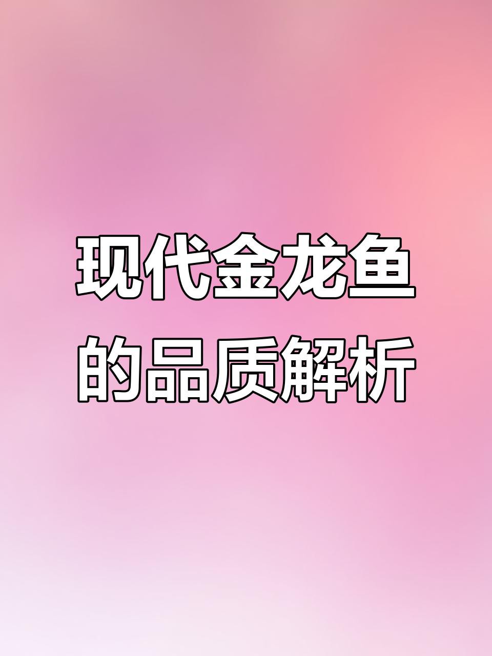 如何選購高品質的高背金龍？，如何挑選高品質的高背金龍