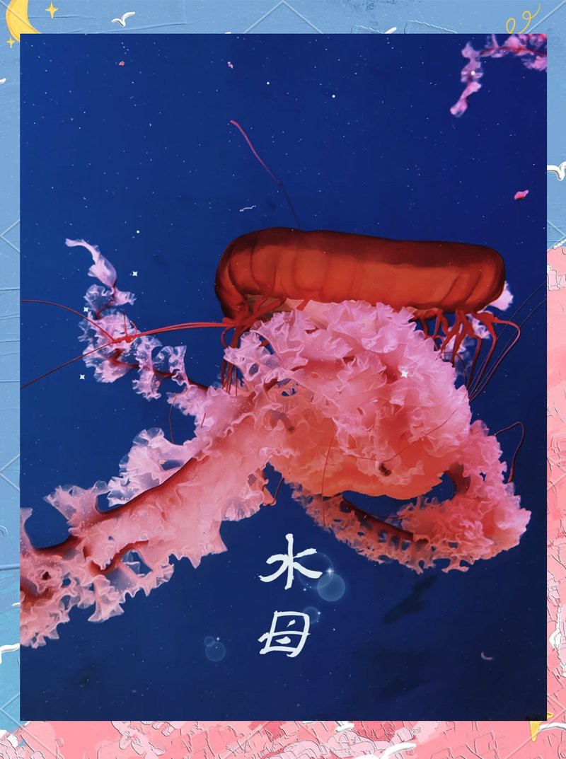 呈貢水族店，《呈貢水族店》在昆明呈貢區分布著多家特色鮮明水族店 呈貢水族店，《呈貢水族店》在昆明呈貢區分布著多家特色鮮明水族店 全國水族館企業名錄 第5張