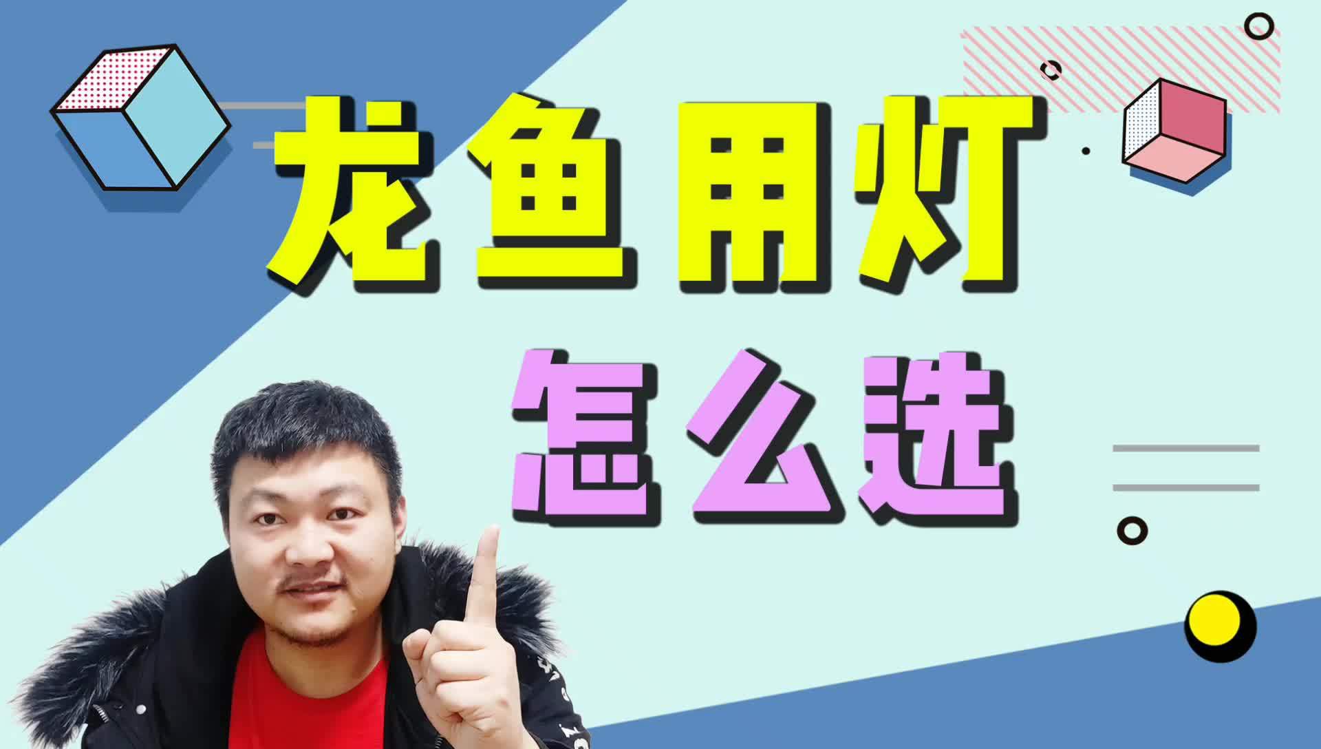 如何選擇適合過背金龍魚的燈管？，———龍魚燈光的使用方法