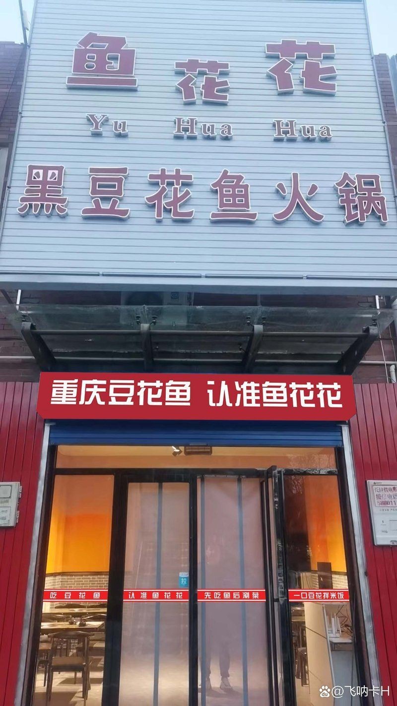 石嘴山龍魚店，石嘴山龍魚創業記