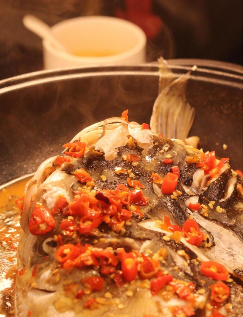 新余龍魚店，新余龍魚價格是多少 新余龍魚店，新余龍魚價格是多少 全國水族館企業名錄 第1張
