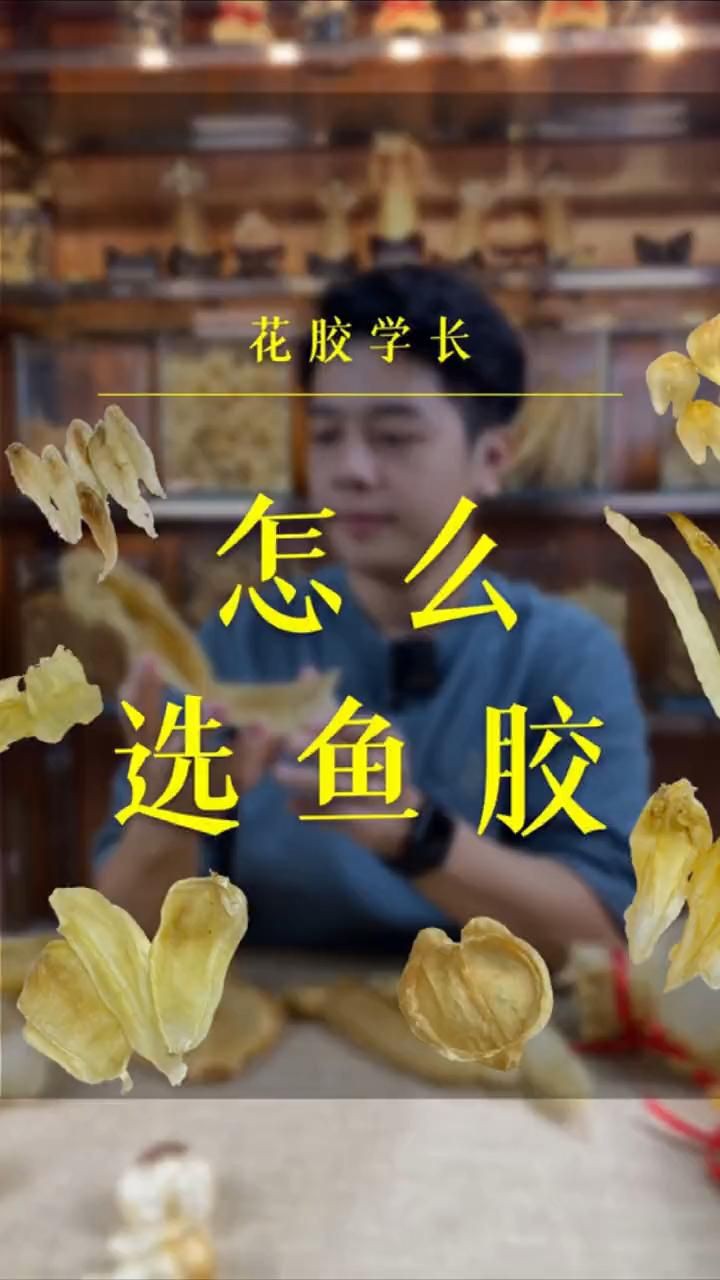 什么魚膠最好，《什么魚膠最好》