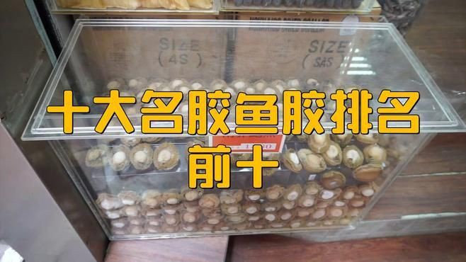 什么魚膠最好，《什么魚膠最好》
