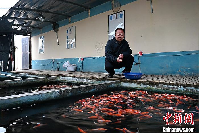 涉縣龍魚店，涉縣有沒有水族店